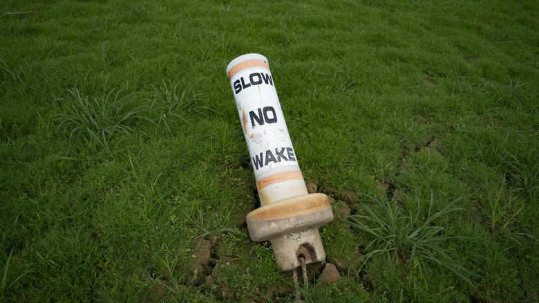 An orange buoy grounded in a field of grass