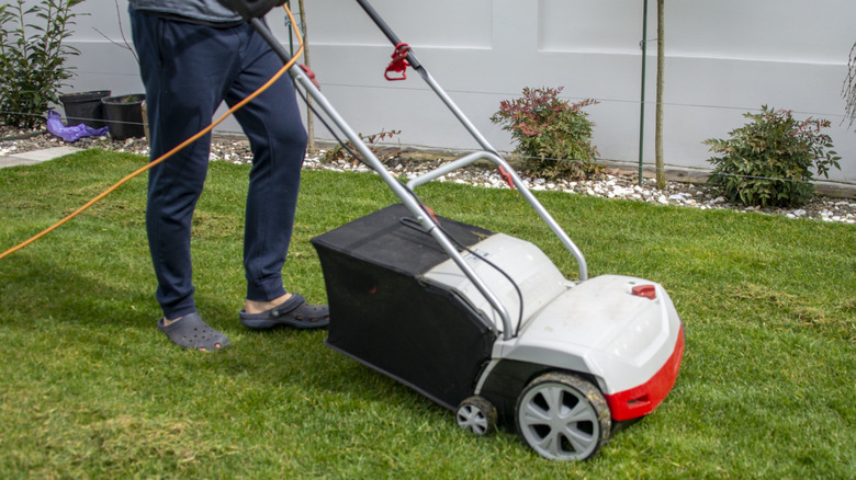A person using a corded electric lawn mower.