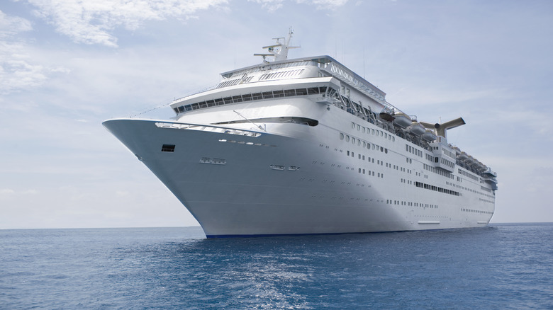 Cruise ship out to sea