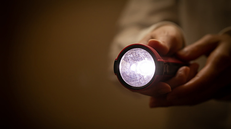 A pair of hands holding a red-bodied flashlight, shining towards the camera