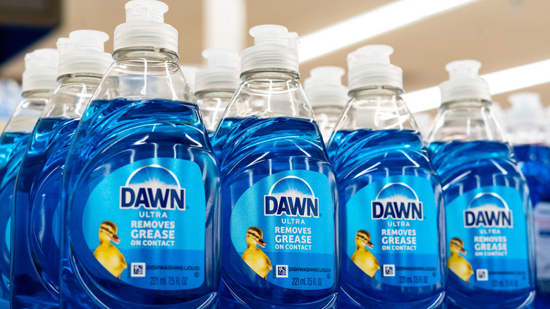 Bottles of Dawn Dish Soap products on a shelf