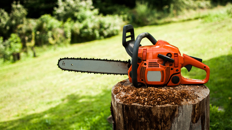 A chainsaw perched on a wooden stump