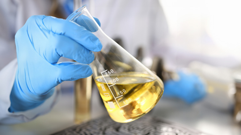 Scientist with gloved hands holding a beaker of oil
