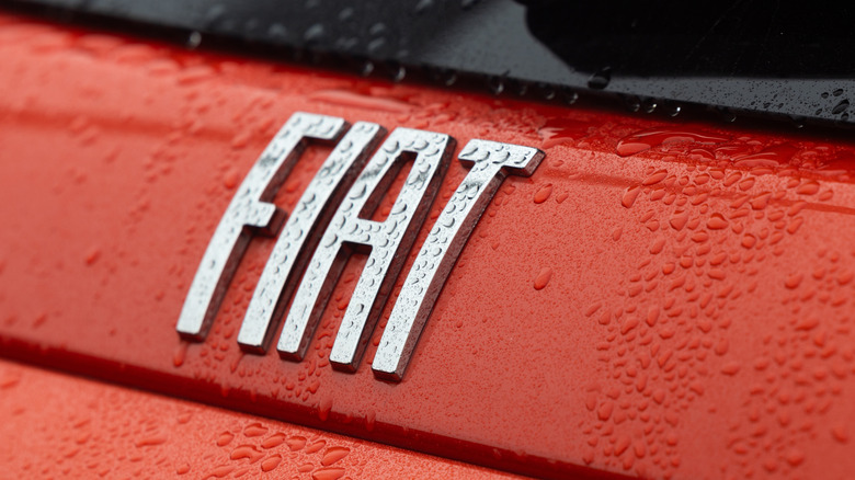 Rear Fiat Badge Close-up