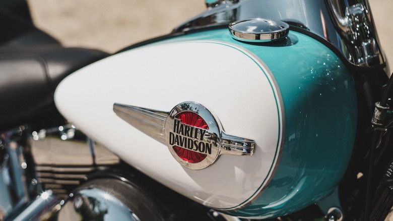 A close up of a Heritage Softail Classic's white gas tank on a sunny day