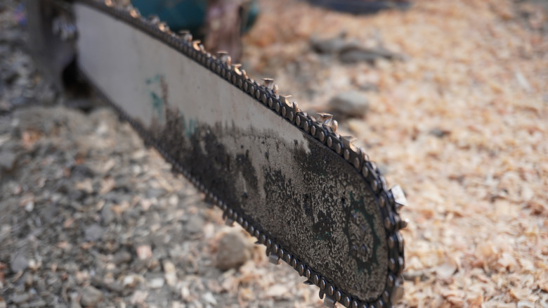 A close-up of a dirty chainsaw blade