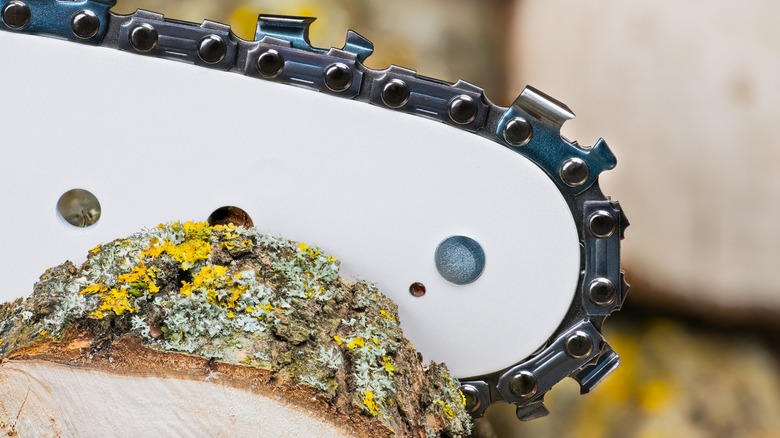 A close-up of a chainsaw chain cutting through wood