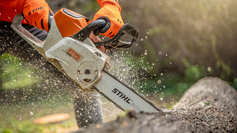 A woodcutter using Stihl chainsaw to cut the tree log
