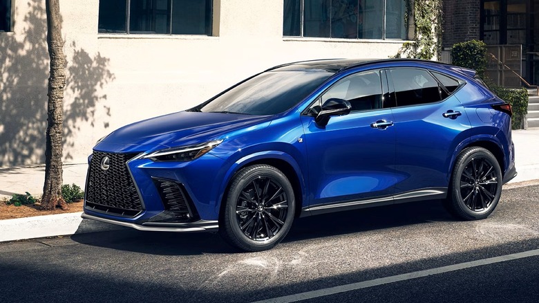 2025 Lexus NX parked on a pavement right next to a tree in front of a building