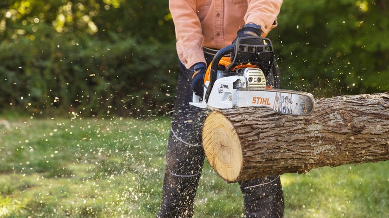 A person using a STIHL Wood Boss chainsaw to cut a piece of wood
