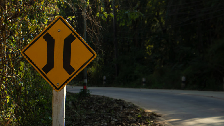 A Road Narrows sign on roadside