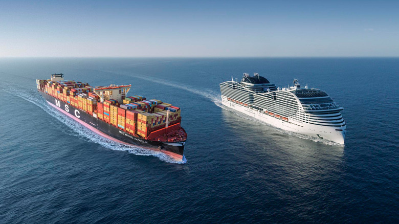 MSC cargo ship and MSC cruise ship side by side in open water