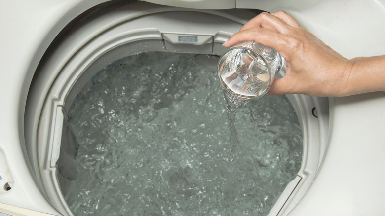 A person pouring vinegar into a washing machine.