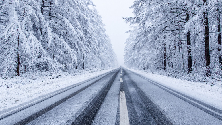Snowy untreated road lined by trees on either side