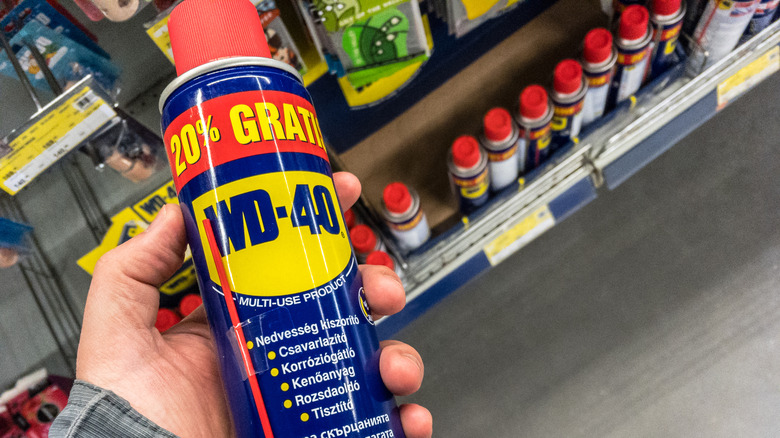 WD-40 in hand store aisle