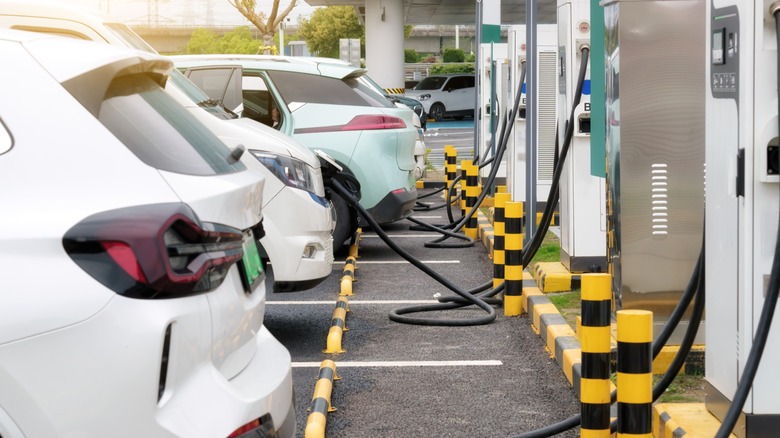 A range of different EVs all plugged into chargers