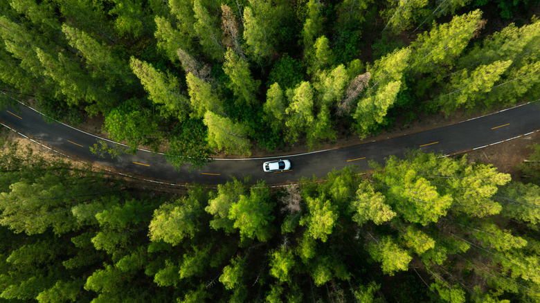 Aerial view of dark green forest road and white electric car Natural landscape and elevated roads Adventure travel and transportation and environmental protection concept