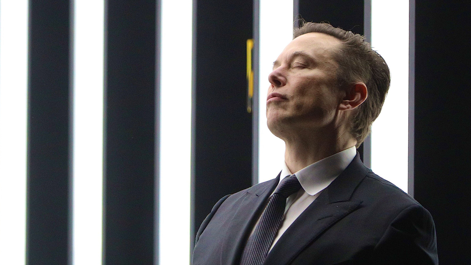 O que a decisão de Elon Musk de sair do Twitter realmente significa