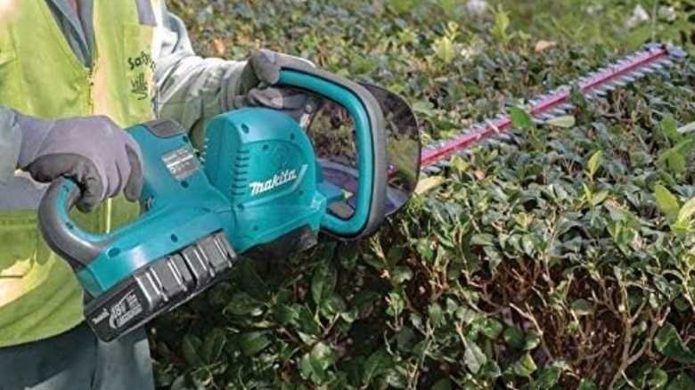 Person using Makita 36V X2 hedge trimmer
