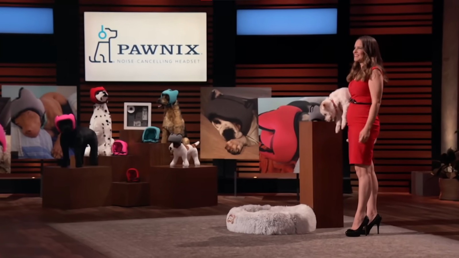 What Happened To Pawnix Noise-Canceling Headphones For Dogs From Shark Tank Season 13?