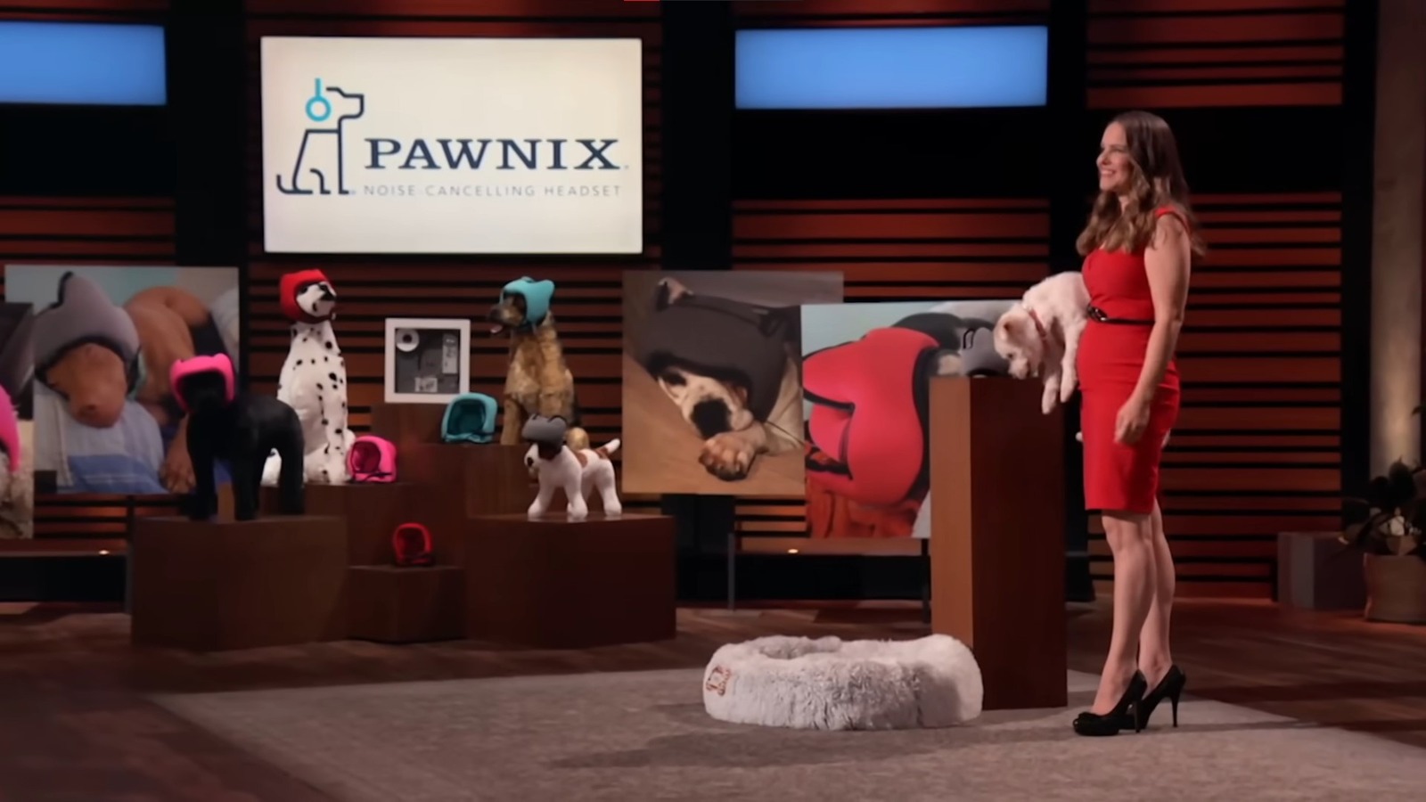 What Happened To Pawnix NoiseCanceling Headphones For Dogs From Shark