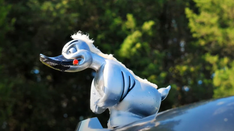 Rubber duck hood mascot
