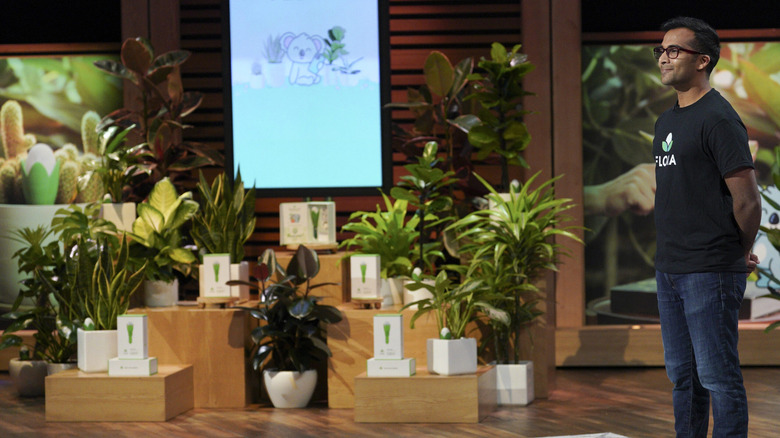 Flora pitch on 
