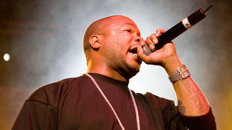 Xzibit performing live