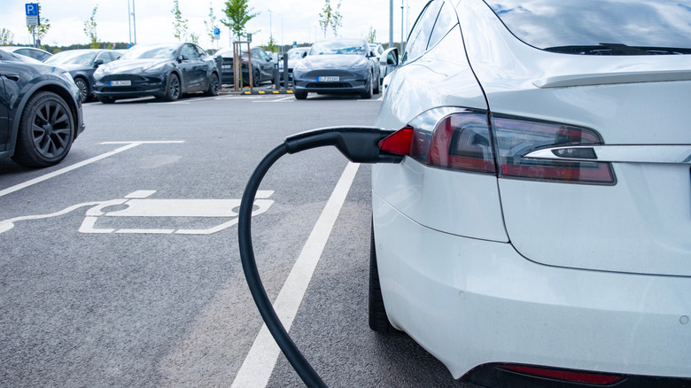 Charger plugged into a Tesla Model Y.