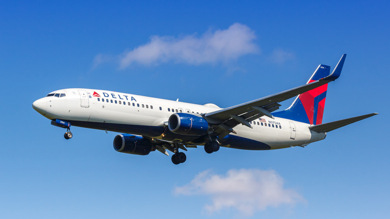 Delta Airlines Boeing 737 in flight