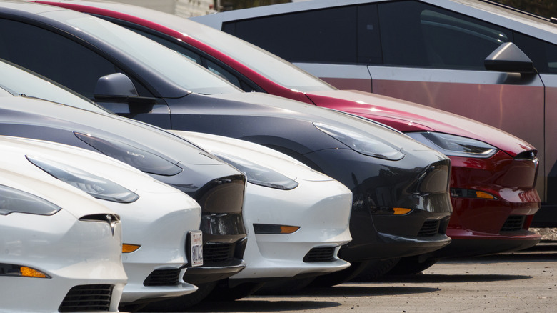 Cars lined up for sale.