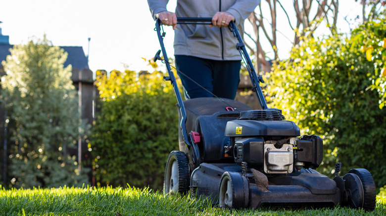 A man mowing the lawn with a self-propelled lawn mower