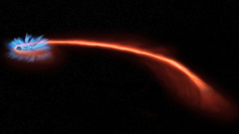 Spaghettification of a star
