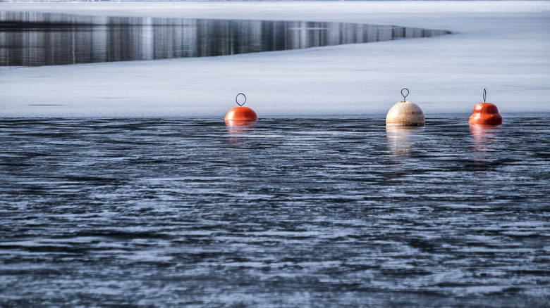 Buoys on wintry water.
