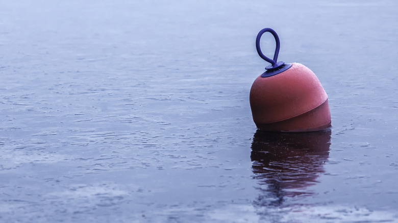 Red buoy in freezing winter water.