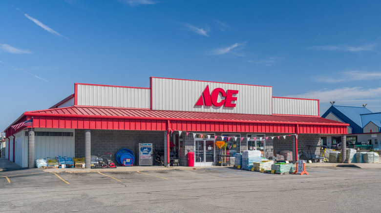 An Ace Hardware store in Michigan