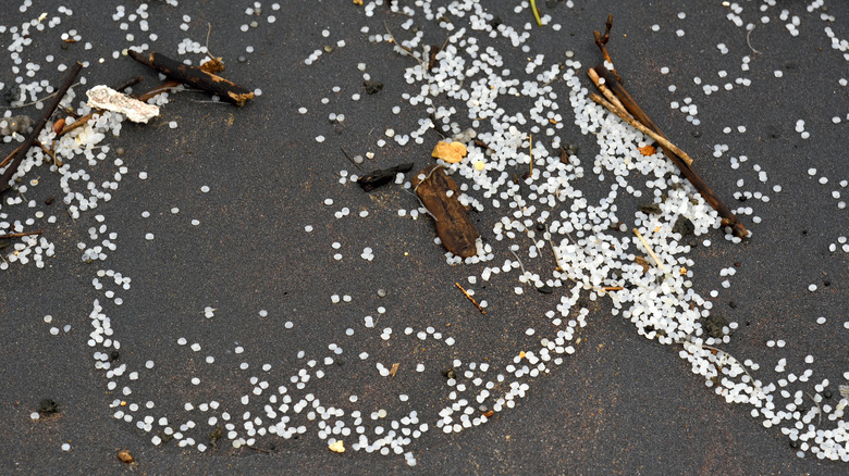 plastic pellets and other waste that washed up on Sri Lankan shore