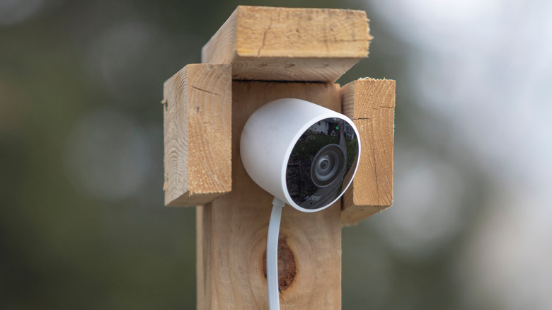 outdoor nest cam