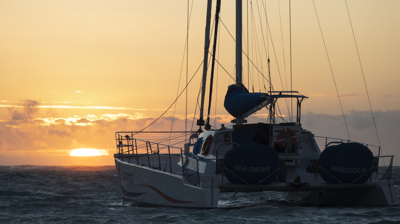Back view of a catamaran in the water at sunset