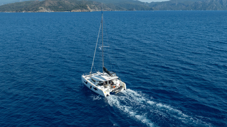 A catamaran sailing on the sea, aerial view