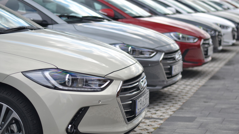 A row of Hyundai Elantras parked at a dealership