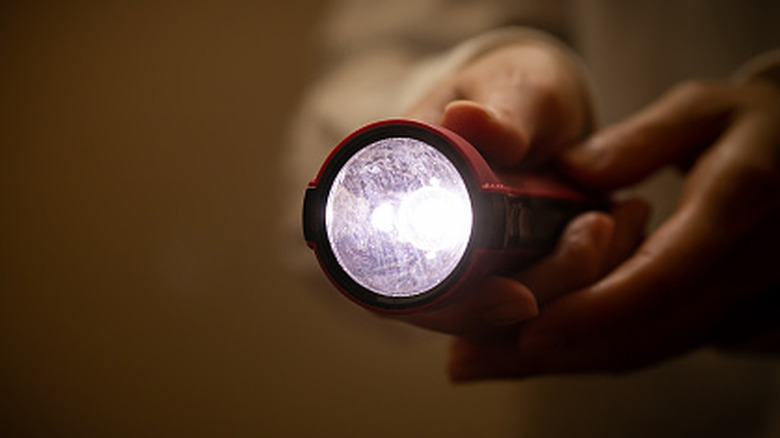 A pair of hands holds a flashlight pointed to the camera