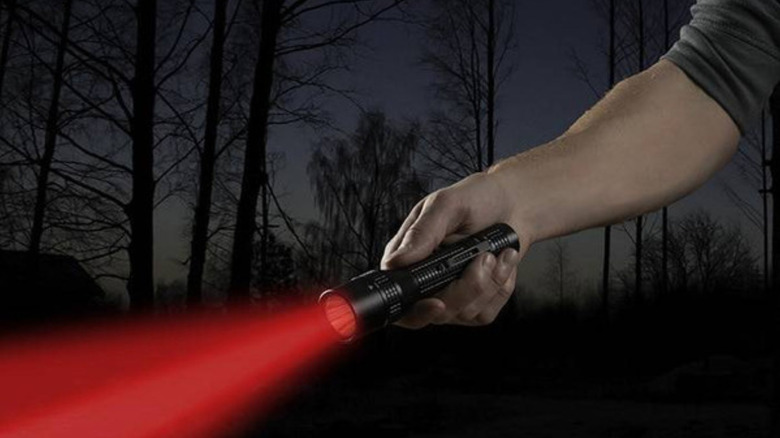 Man's hand holding a red light flashlight with trees in background