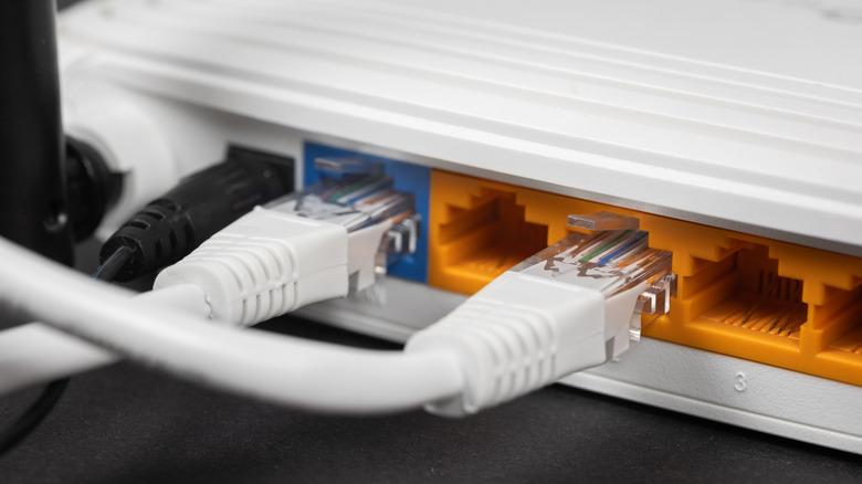 Ethernet cables plugged into a network router