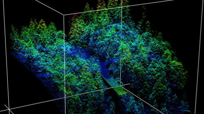 LiDAR images of fire damage