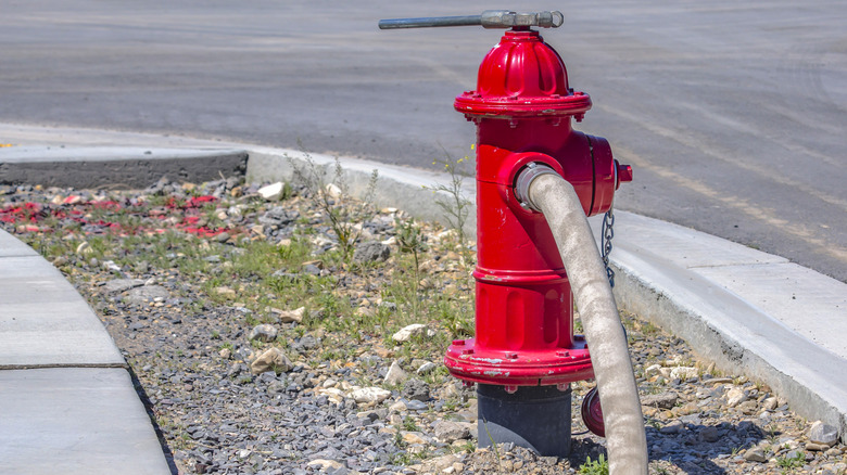 A red fire hydrant with a hose connected