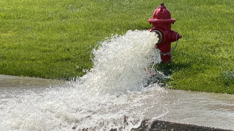 Fire hydrant with water pouring into the street