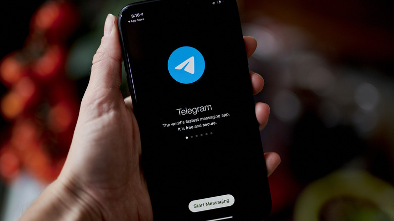 Telegram on an iPhone