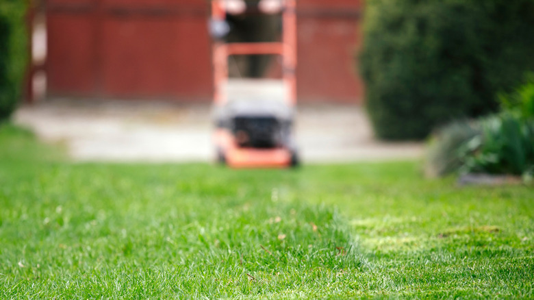 Person mowing their lawn