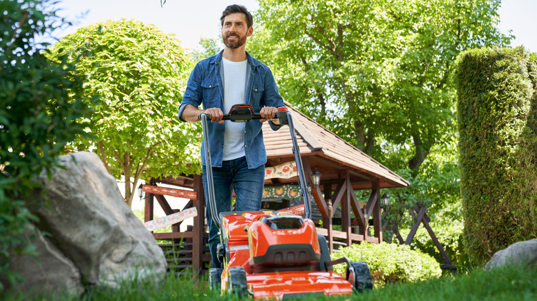 Person mowing their lawn